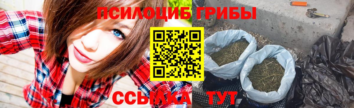 Псилоцибиновые грибы MAGIC MUSHROOMS  Вход с VPN  Морозовск  Галлюциногенные грибы Psilocybe 