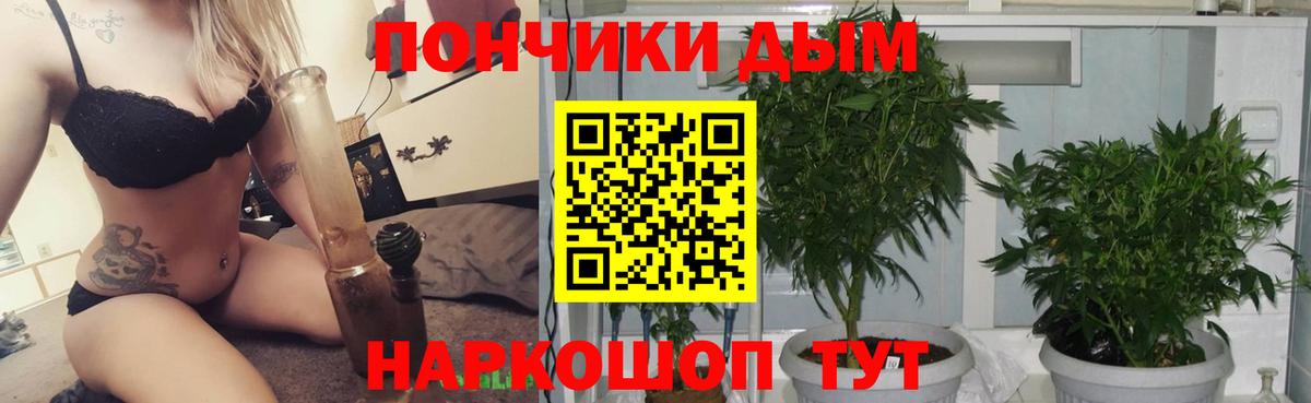 Канабис семена  МАРИХУАНА AK-47  Морозовск  Конопля тримм  Вход с VPN 